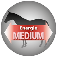 Josera-Pferdefutter-Freizeit-Aktiv-Pfefferminzoel