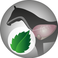 Josera-Pferdefutter-Freizeit-Aktiv-Pfefferminzoel